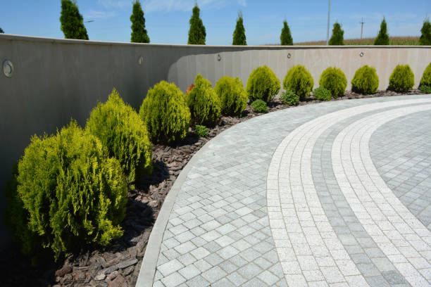 Best Affordable Driveway Paving  in Willow Springs, MO